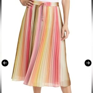 Scotch & Soda Rainbow Ombré chiffon midi skirt size small pleated